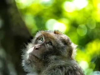 DSC04084 1400X933 800X600